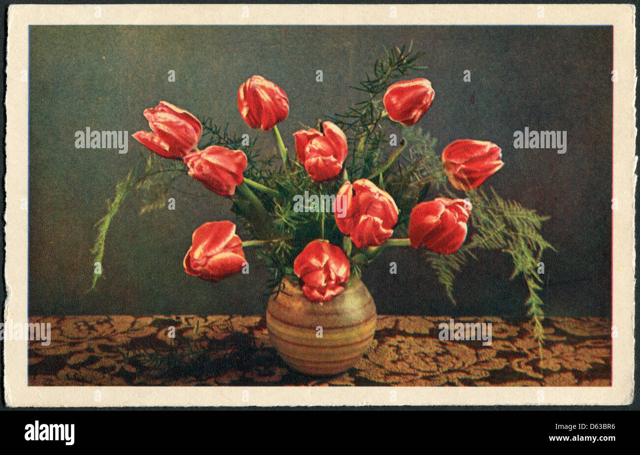 Alte deutsche Postkarte, ca. 1943. Vase mit Tulpen. Stockfoto