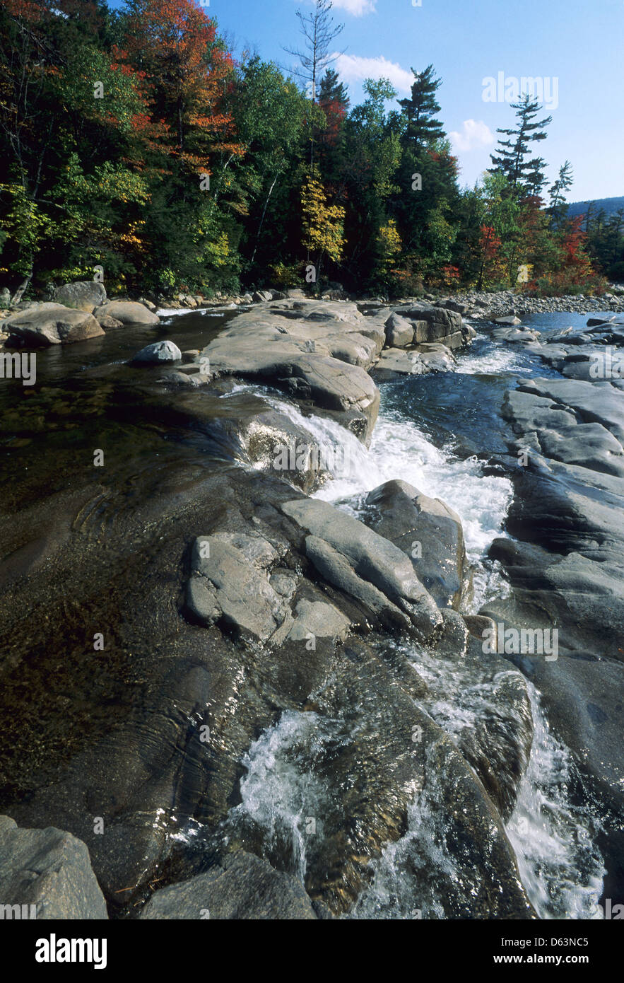 Elk281-1640v-New-Hampshire, weiße Mtns, Kancamagus Highway, niedriger fällt Scenic Area, Swift Flusslandschaft Stockfoto