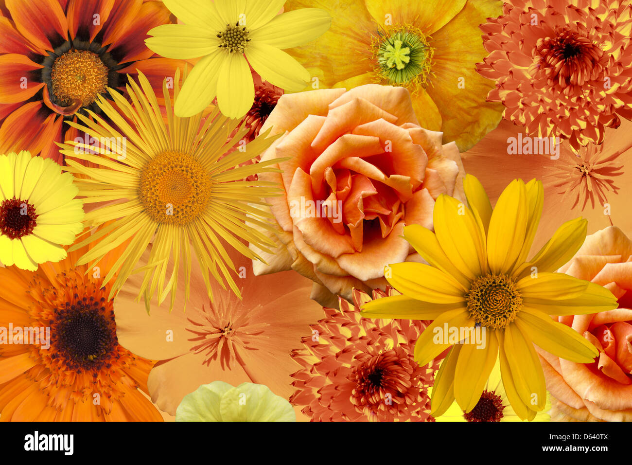 Potpourri von Blumen Stockfoto