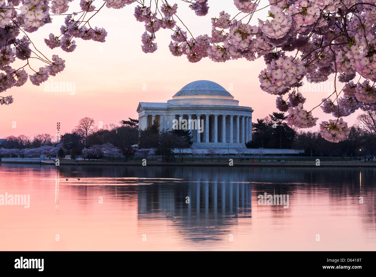 Kirschblüten am Jefferson Memorial bei Sonnenuntergang, Washington dc Stockfoto