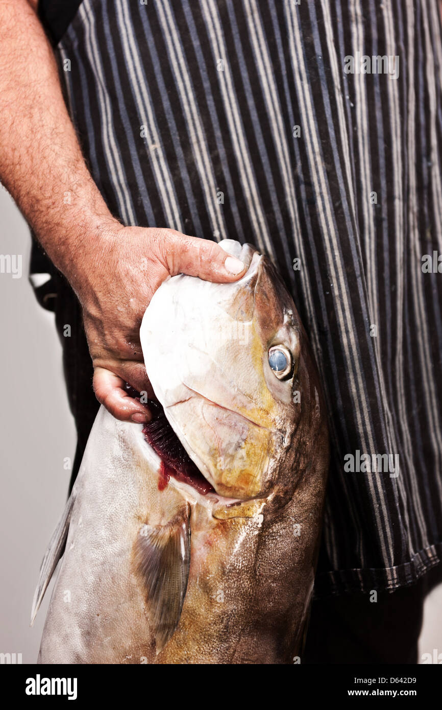 ein Fischhändler hält einen Fisch filetiert werden gerne Stockfoto