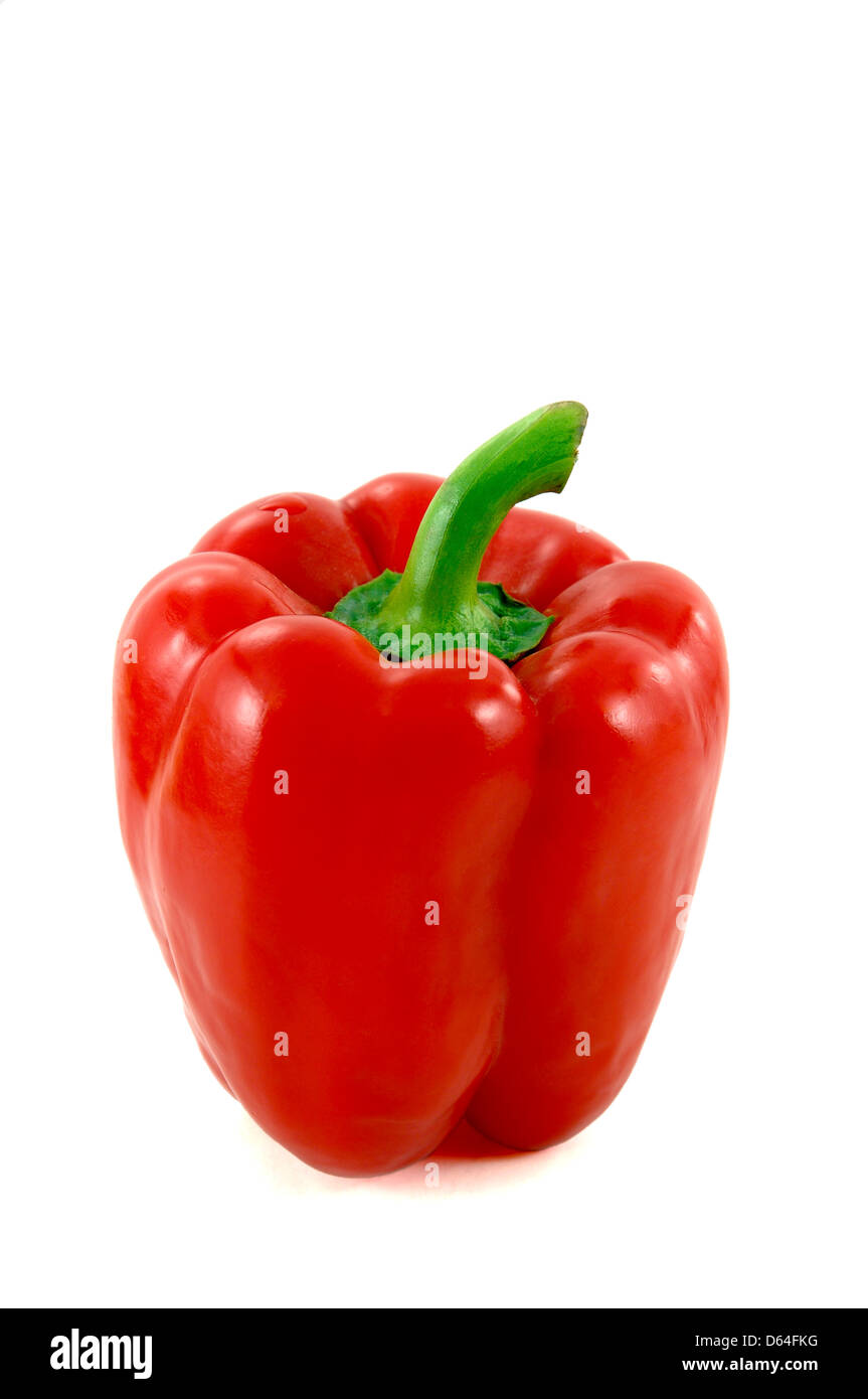 große rote Paprika isoliert auf weißem Hintergrund Stockfoto