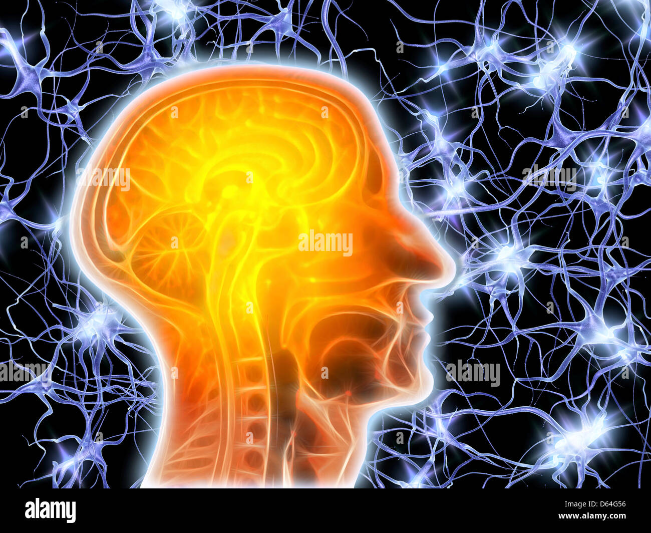 MRT Gehirn und Nervenzellen Stockfoto