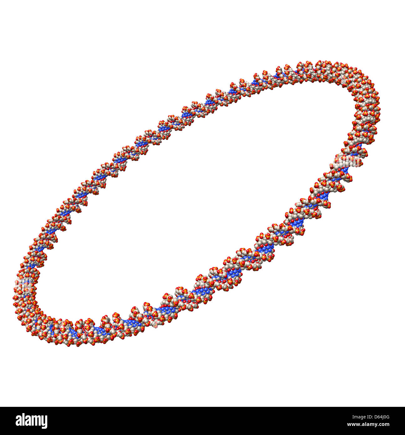 Kreisförmige DNA-Molekül, artwork Stockfoto