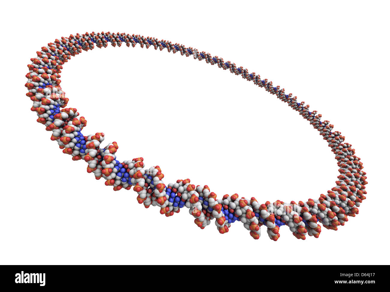 Kreisförmige DNA-Molekül, artwork Stockfoto