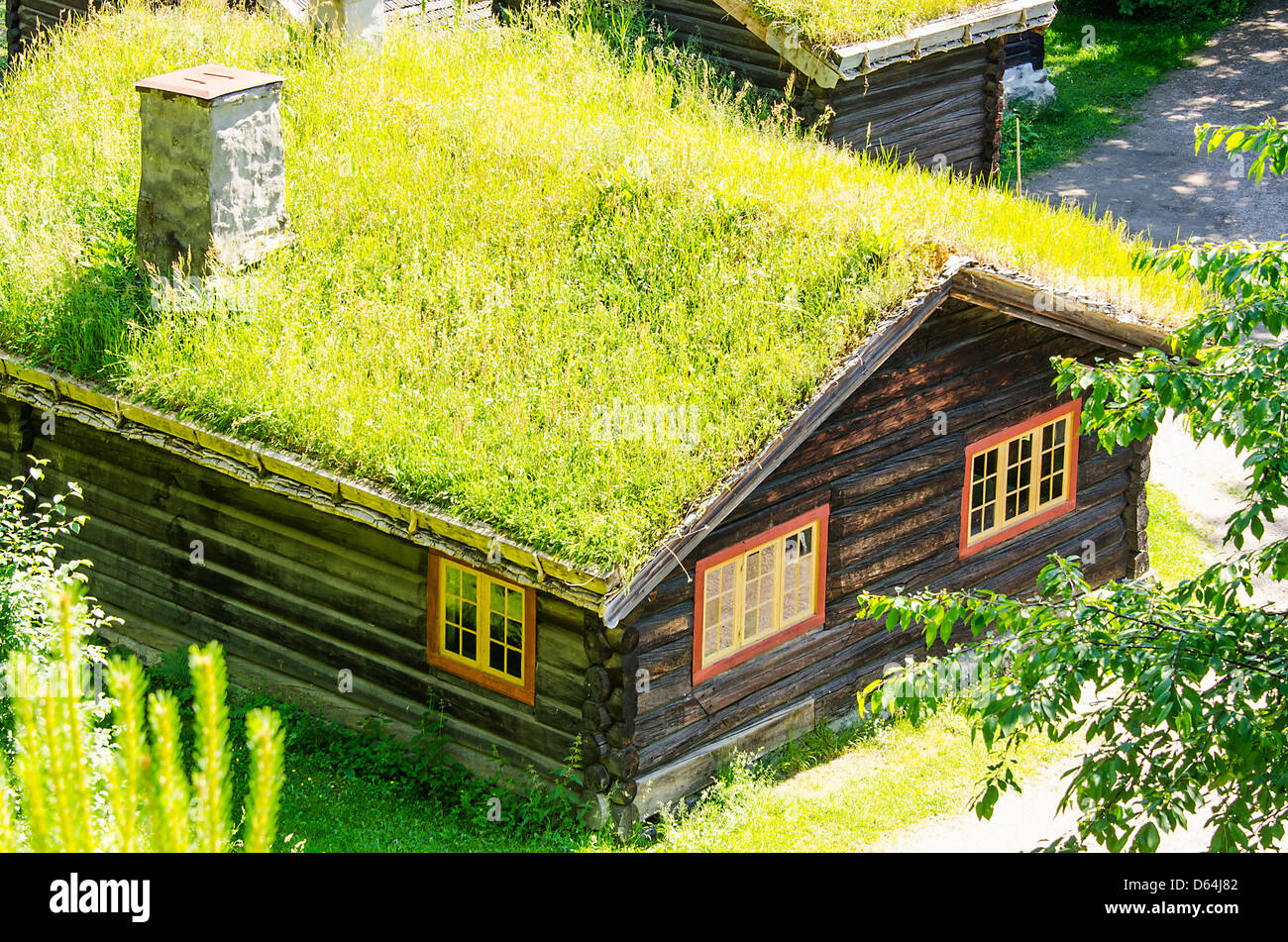 Grass-Dach-Land-Haus Stockfoto