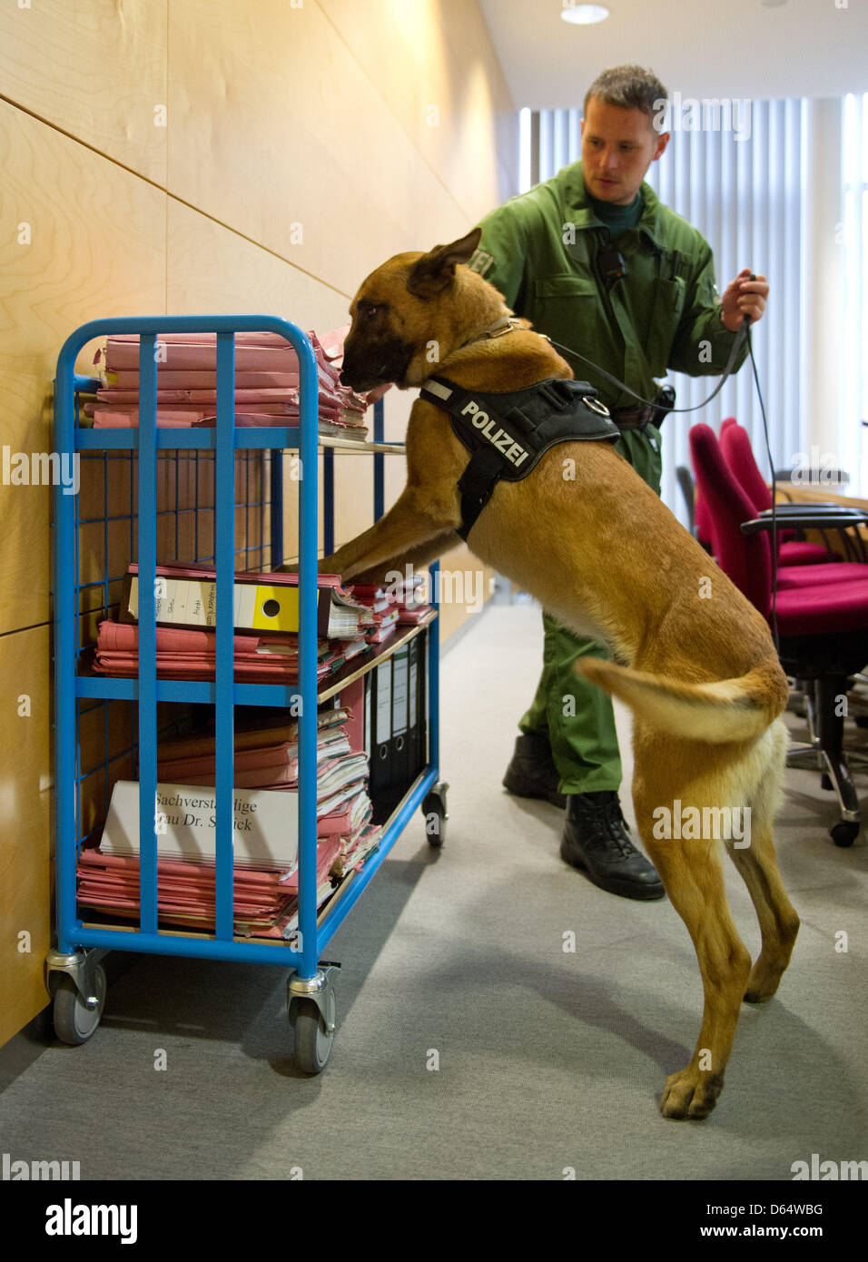 Ein Polizist und ein Hund suchen den Gerichtssaal in Kaiserslautern, Deutschland, 4. Juni 2012. Ein 29 Jahre Mitglied der Rocker-Bande Hells Angels steht heute vor Gericht. Ihm wird vorgeworfen, den Kopf einer rivalisierenden Bande zusammen mit zwei Komplizen ermordet zu haben. Foto: Jan Peter Stockfoto