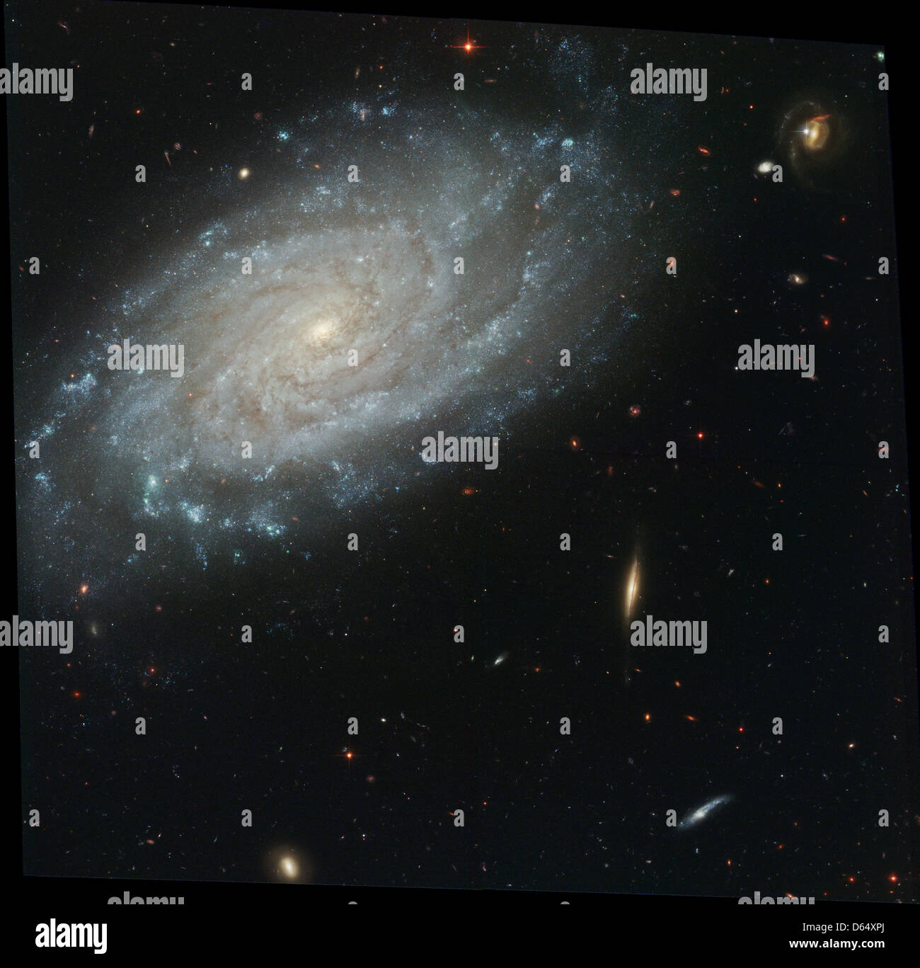 Spiralgalaxie NGC 3370 Stockfoto Spiralgalaxie NGC 3370 Stockfoto