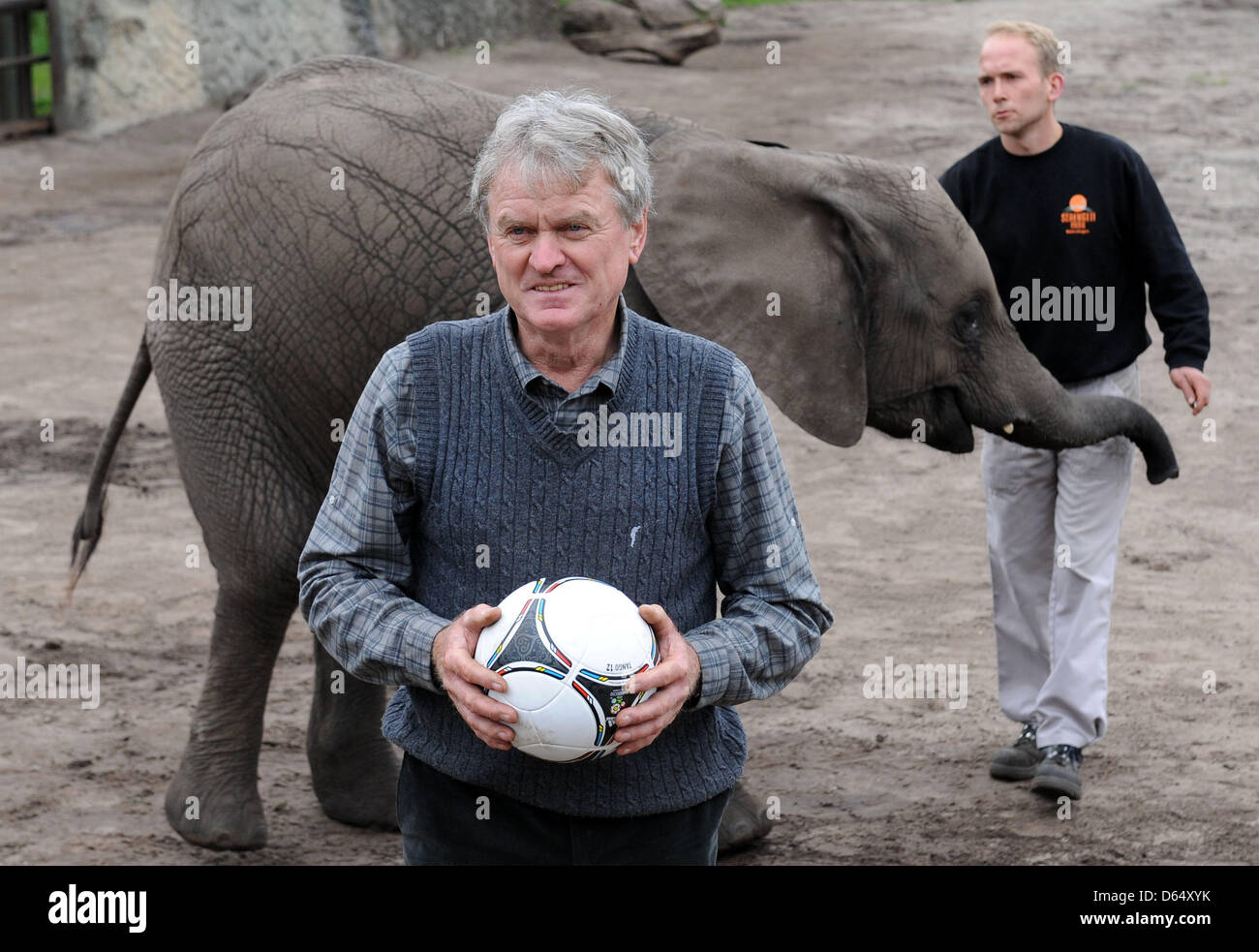 Ehemalige deutsche Nationaltorhüter Sepp Maier stellt im Serengeti-Park Hodenhagen, Deutschlands, 6. Juni 2012. Nelly wird vor jedem Spiel der deutschen Mannschaft Ziel-Kicks auf zwei Tore zu nehmen. Wenn sie das Ziel der gegnerischen Mannschaft trifft, gewinnt der deutsche Fußball-Nationalmannschaft ihr nächstes Spiel. Nelly Prophezeiung für Deutschlands Spiel gegen Portugal ist ein Gewinn für die deutsche Mannschaft. Phot Stockfoto