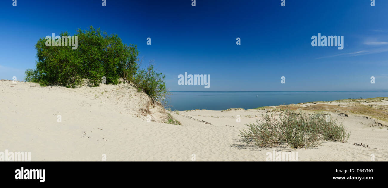 Landschaft-Sanddüne am Kurischen spucken in Litauen Stockfoto