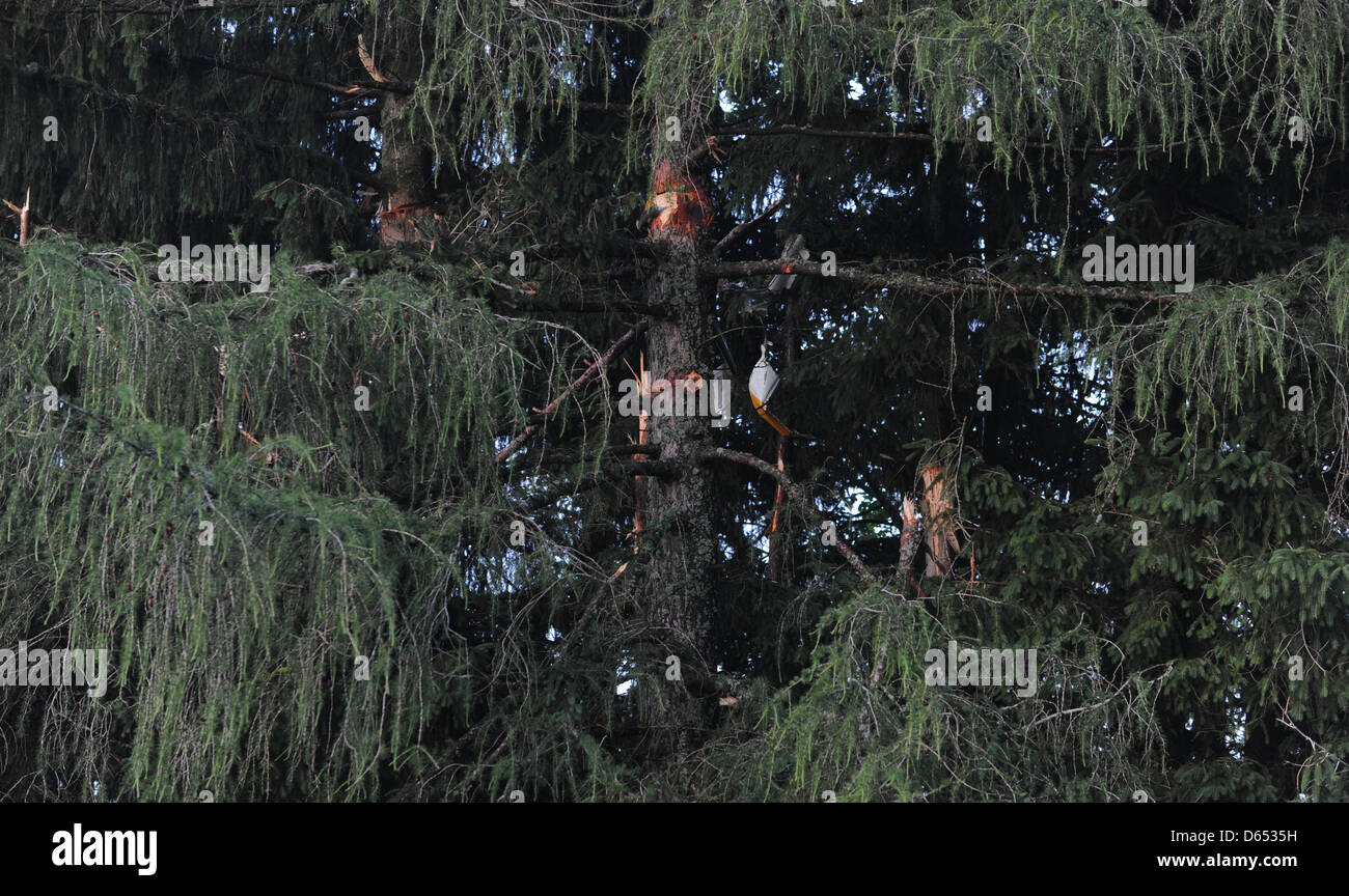 Übrigen Teile eines Hubschraubers sind sichtbar in einem Baum an einem Standort eines Absturzes in Teisendorf, Deutschland, 10. Juni 2012. Vier Menschen starben bei dem Hubschrauberabsturz. Nach Berichten der Polizei Rosenheim in der deutschen Presse-Agentur Dpa leitete die Hubschrauber von Augsburg nach Salzburg. Foto: MARC Müller Stockfoto