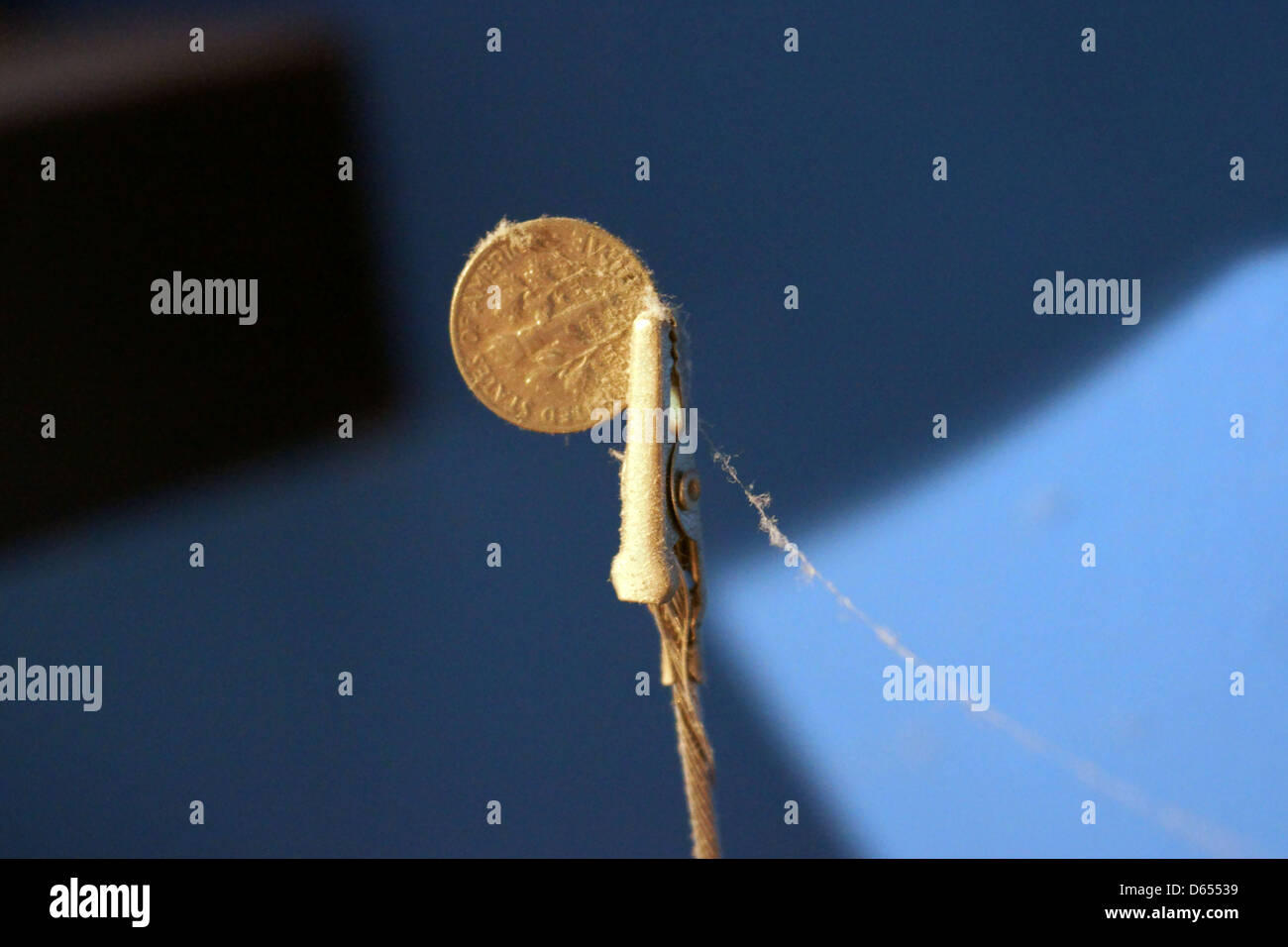 ein Cent Münze staubigen Cob Schwimmhäuten Papierhalter blau Stockfoto