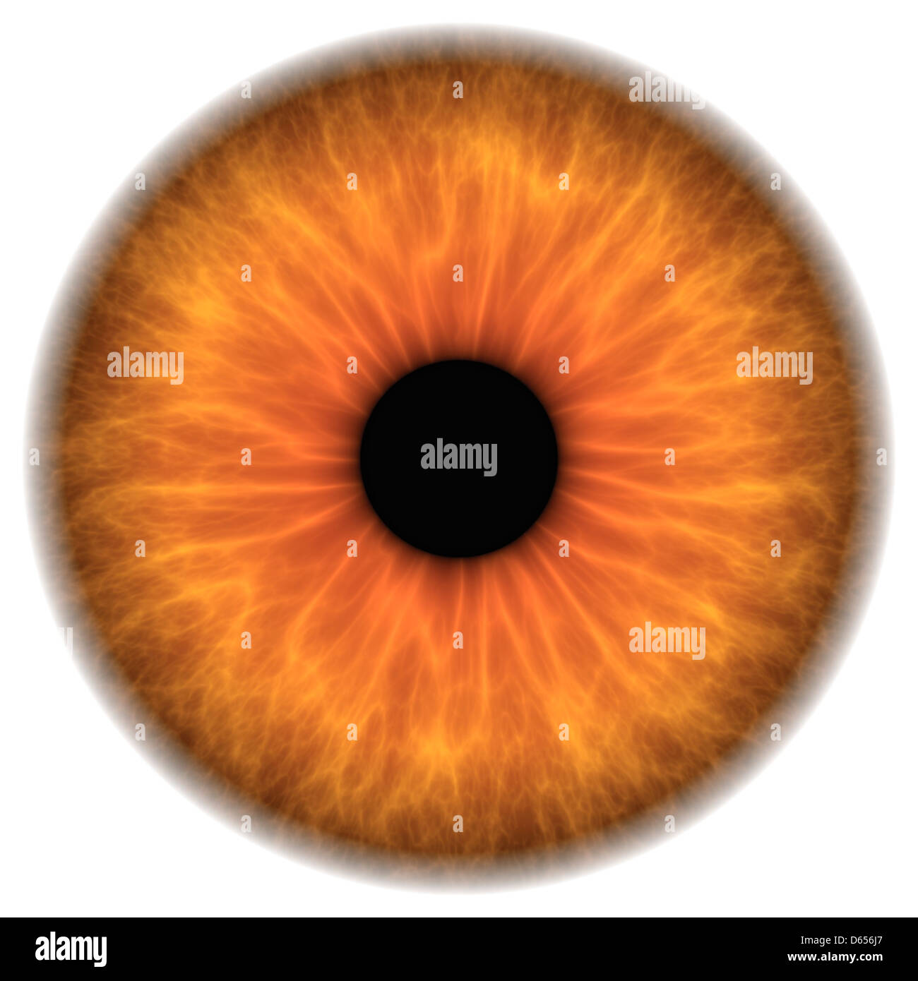 Ist das auge Ausgeschnittene Stockfotos und -bilder - Alamy