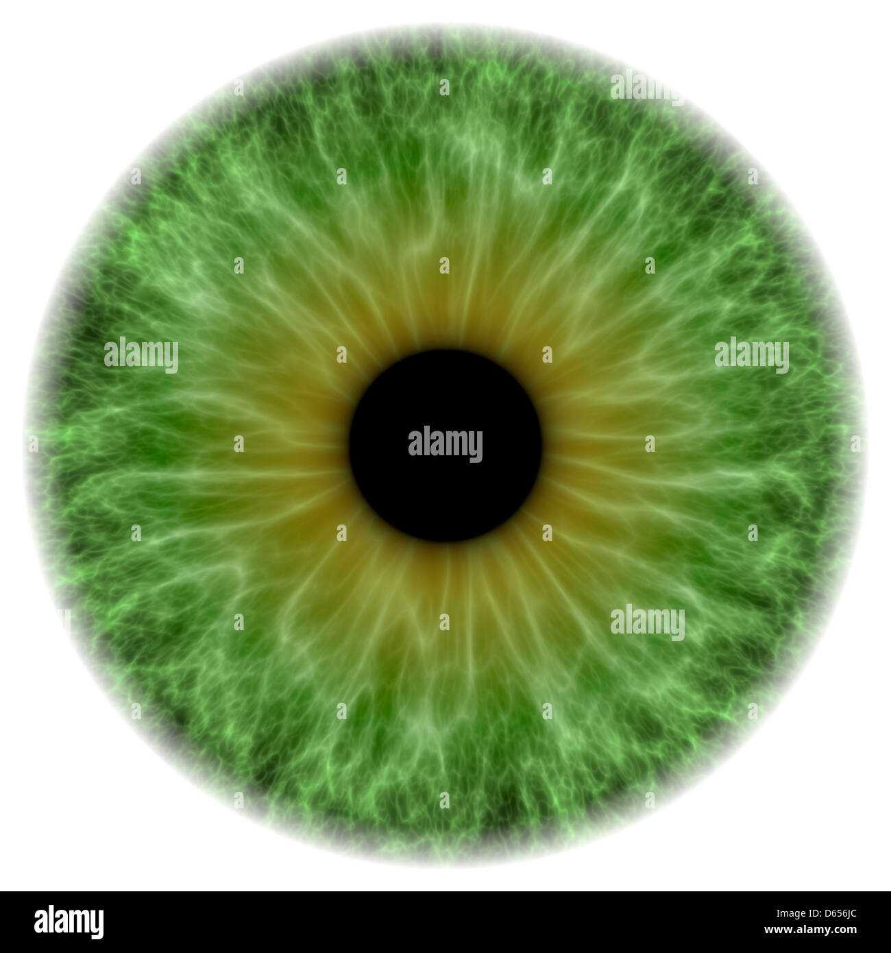 Ist das auge Ausgeschnittene Stockfotos und -bilder - Alamy