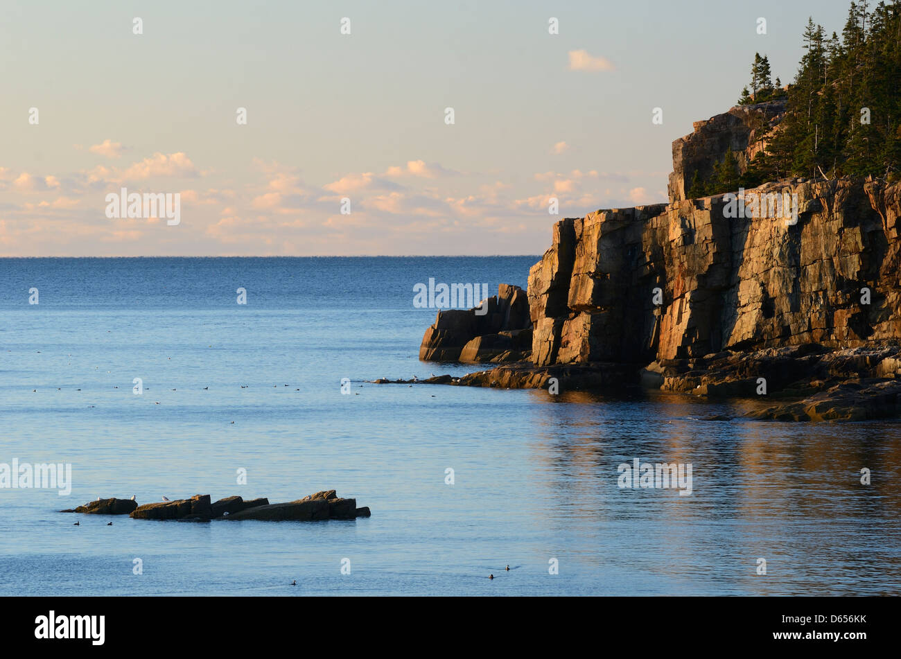 Atlantik im Acadia National Park, Maine. Stockfoto