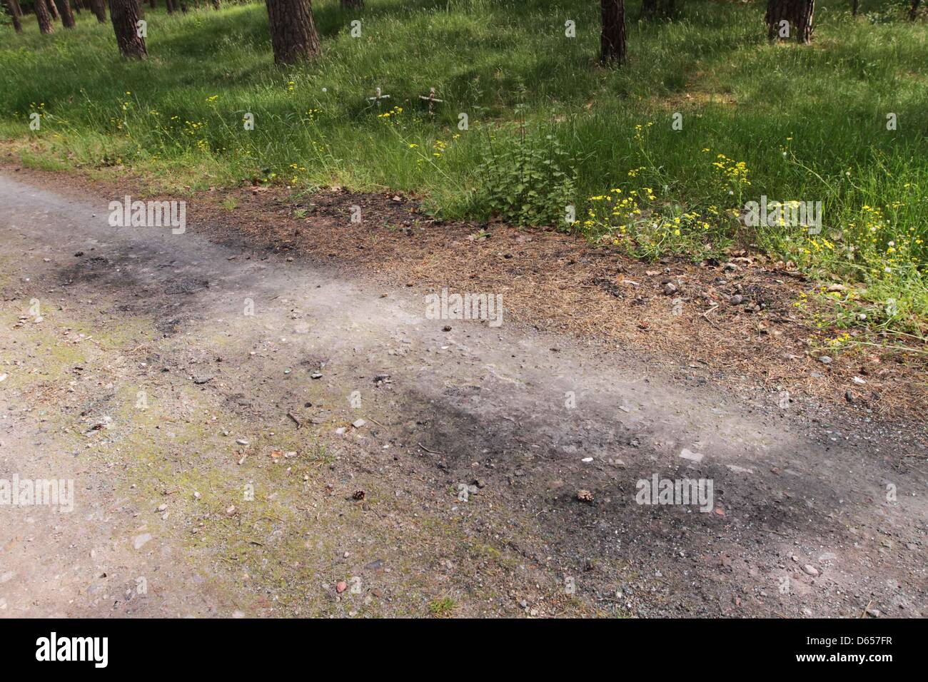 Zwei Kreuze (Rücken) stehen am Rand eines Waldes neben der verbleibenden brennenden Spuren eines Autos in der Nähe von Boernicke, Deutschland, 22. Mai 2012. Die Kreuze markieren Sie die Stelle, wo die Leichen der beiden Mädchen am 12. August 2011 gefunden wurden. Ihr Vater aus Dänemark ist vor Gericht in Potsdam für den angeblichen Mord an seine Töchter. Foto: Nestor Bachmann Stockfoto