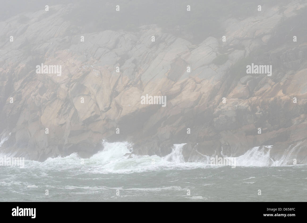 Wellen, die gegen die felsige Küste von Acadia National Park, Maine. Stockfoto