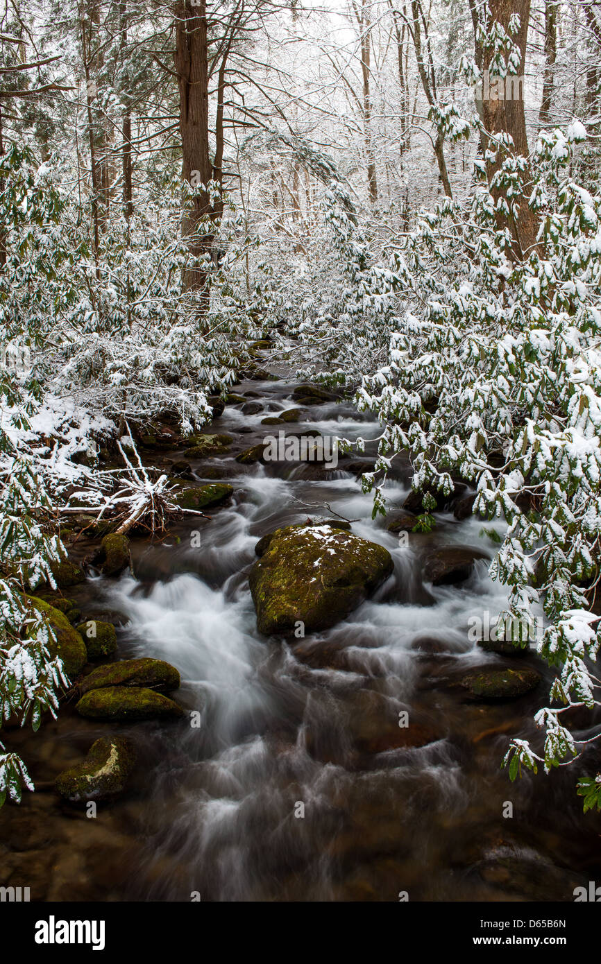 Diese kleinen Bach namens Bear Wallow Filiale läuft durch die elkmont Bereich in der Great Smoky Mountain National Park und schließlich in den kleinen Fluss weiter unten. Elkmont ist ein Dorf, die ursprünglich als ein logging Dorf für Arbeitnehmer in der Holzindustrie. Danach wurde es zu einem beliebten Urlaubsort für Mitglieder einer menschenfreundlichen Gruppe namens der Appalachian Club. Vor kurzem das Gebiet ist in einem schlechten Zustand aber wird für Campingplatz Nutzung renoviert. Stockfoto