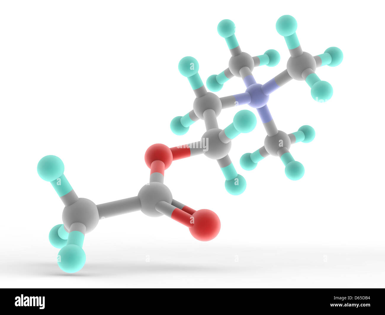 Acetylcholin-Molekül Stockfoto