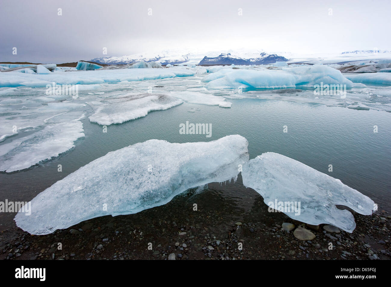 Blaue Eisberge schwimmen in der Jökulsárlón Lagune in Island im winter Stockfoto
