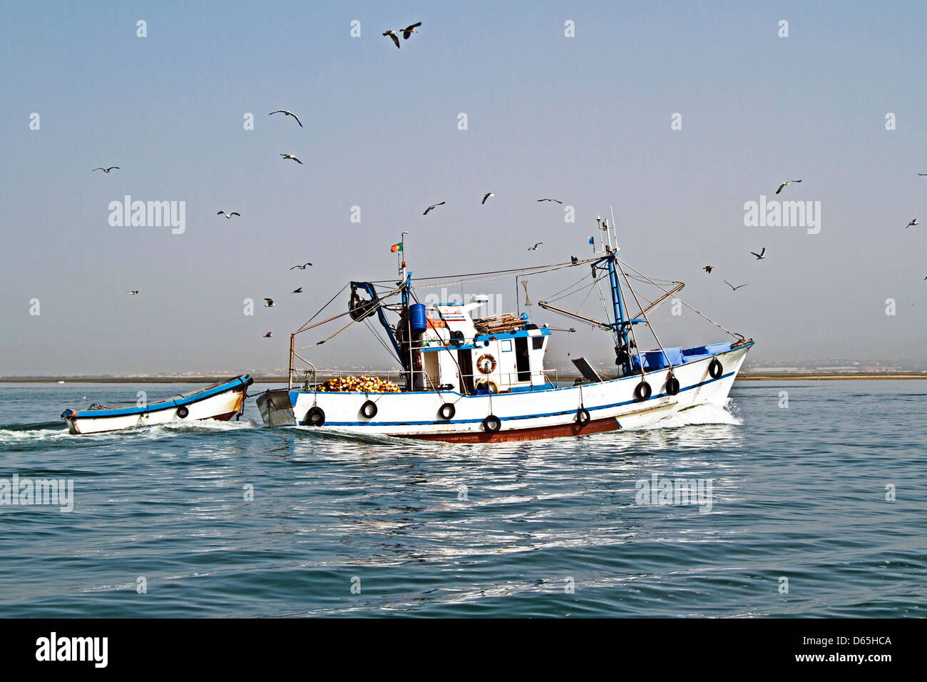 Angelboot/Fischerboot Rückkehr zum Heimathafen mit vielen Möwen Stockfoto