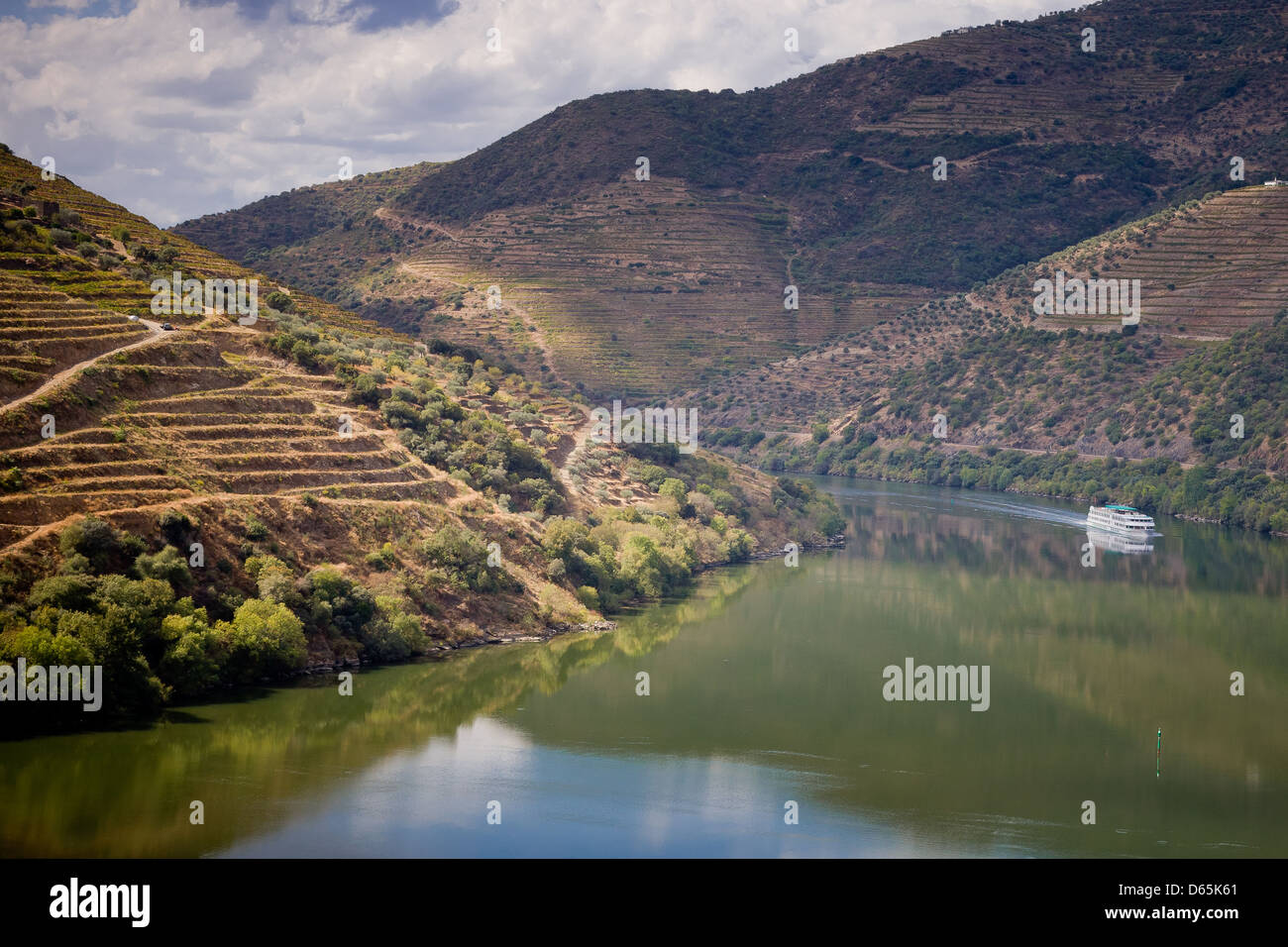 Weinbergen des Douro-Tal, Portugal Stockfoto