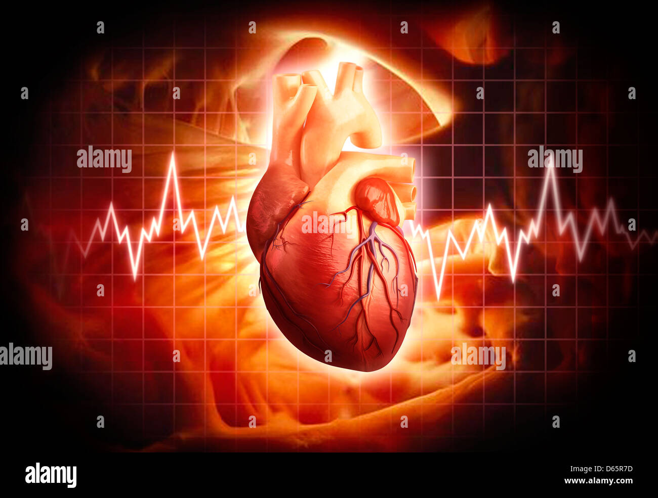 Menschliches Herz, artwork Stockfoto