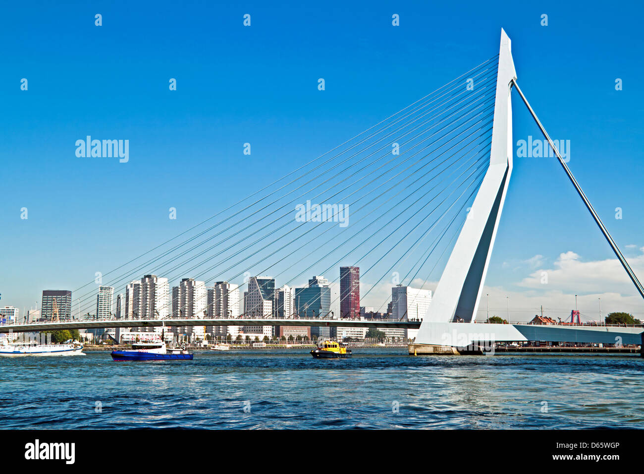 Erasmusbrücke in Rotterdam Hafen der Niederlande Stockfoto