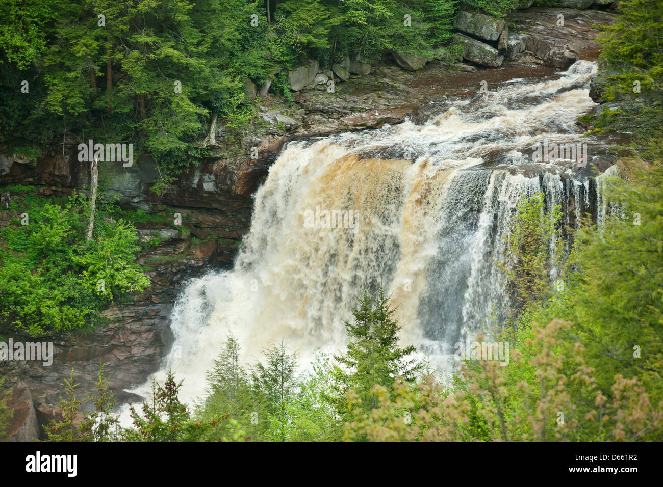 MAIN WASSERFÄLLE BLACKWATER FALLS STATE PARK WEST VIRGINIA USA Stockfoto