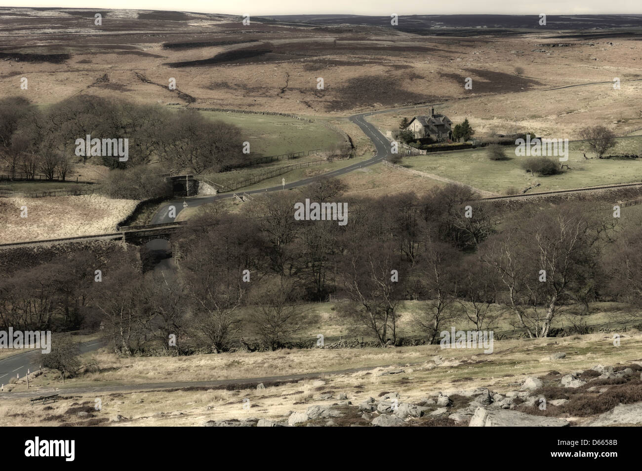 North York Moors National Park im zeitigen Frühjahr in der Nähe von Goathland, North Yorkshire, UK. Stockfoto