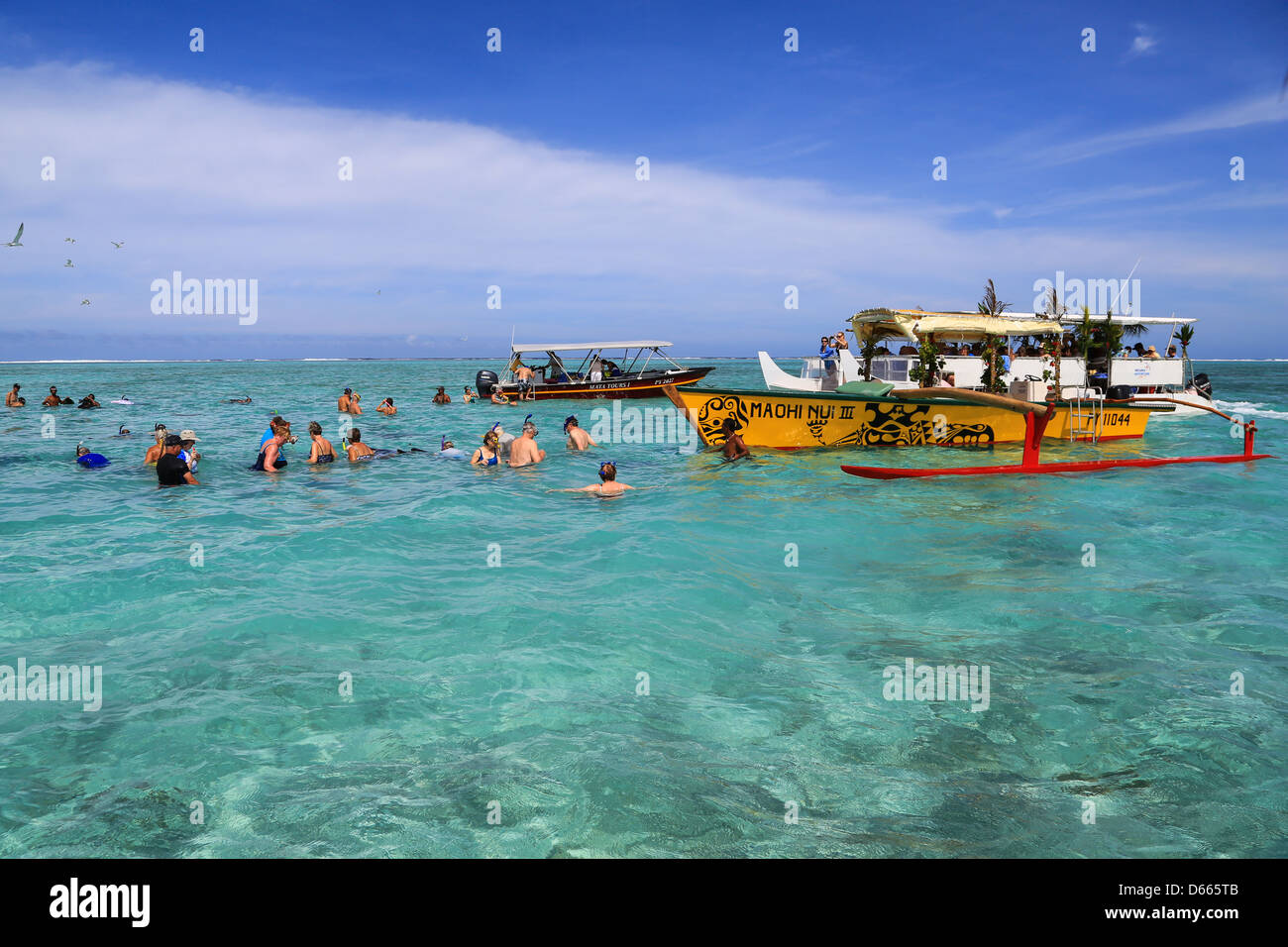 Touristen auf einen Schnorchel Ausflug zum schwarzen Spitzen Haie und Rochen im seichten Wasser der Lagune Bora Bora anzeigen. Stockfoto