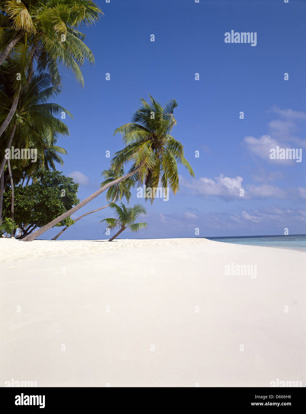 Tropischen Strandblick, Republik Malediven, Kuda Bandos Island, Kaafu Atoll Stockfoto