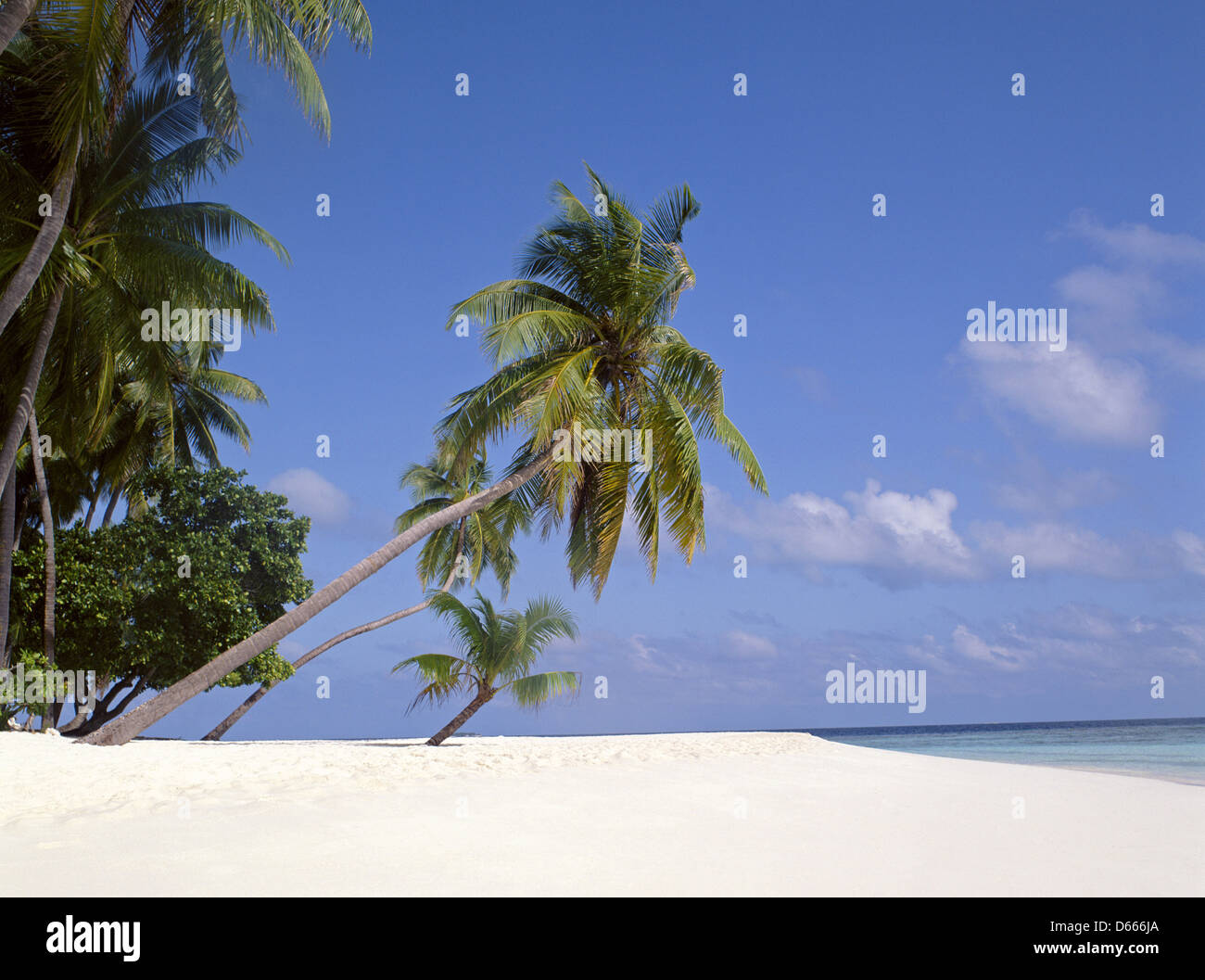 Tropischen Strandblick, Republik Malediven, Kuda Bandos Island, Kaafu Atoll Stockfoto
