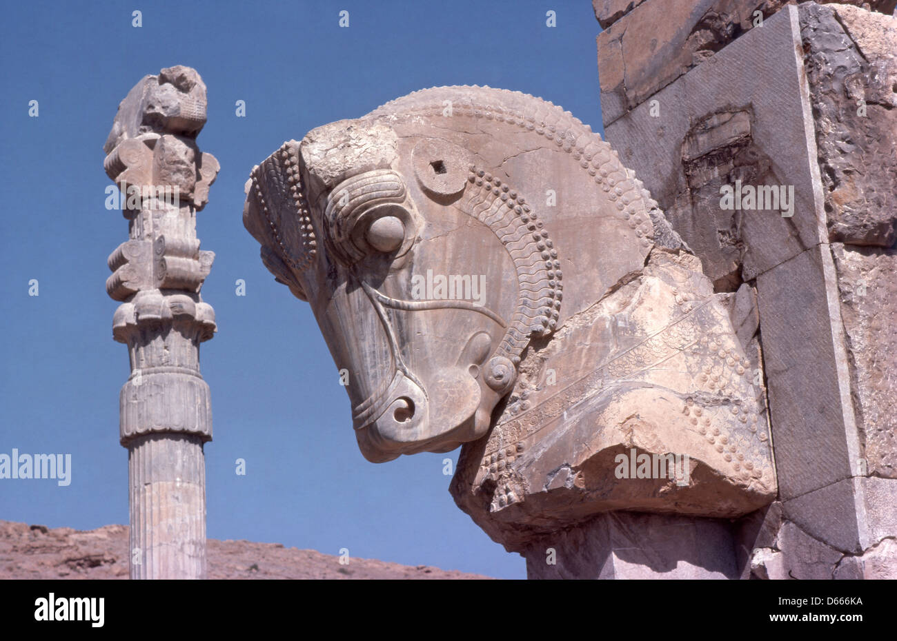 Guardian Pferdeskulptur Ruinen der Apadana Palast von Persepolis, Persepolis, Fars Provinz, Islamische Republik Iran Stockfoto
