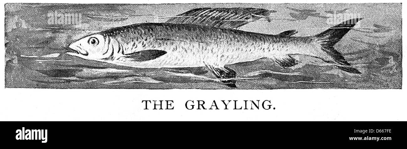 Dieses Bild stammt von A Strike Made by Boyce’s Big Weeklies (1894), das ein bedeutendes Streikereignis in den 1890er Jahren dokumentiert Am Streik waren Boyces Zeitungen beteiligt, und das Bild unterstreicht die Rolle der Presse und der Arbeiterbewegung bei der Gestaltung der amerikanischen Arbeitergeschichte des 19. Jahrhunderts. Stockfoto