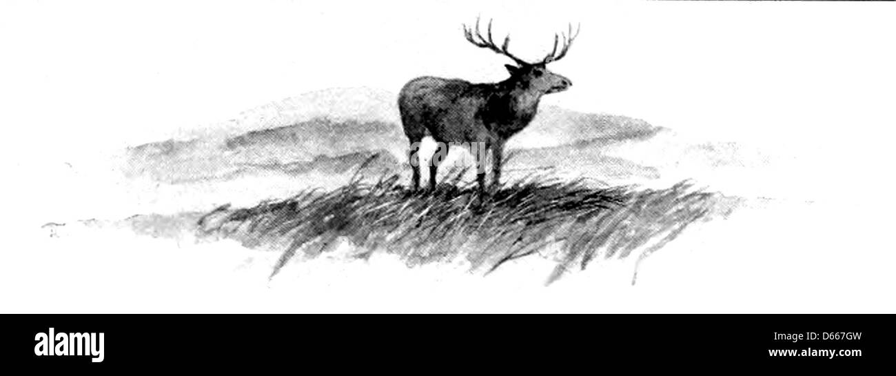 Eine Illustration aus „A Strike made by Boyce's Big Weeklies“ (1894), die einen bedeutenden Moment in der Geschichte darstellt, der wahrscheinlich mit Arbeiterbewegungen oder einem Industrieereignis zusammenhängt. Das Bild fängt die Spannung und Atmosphäre der Zeit während eines großen Streiks in der Geschichte ein. Stockfoto