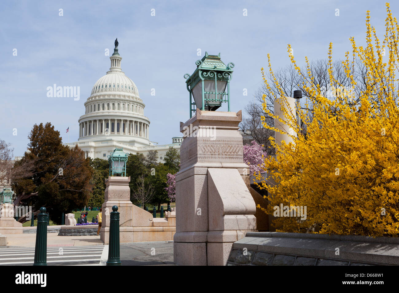 Frühling im US Capitol - Washington, DC USA Stockfoto
