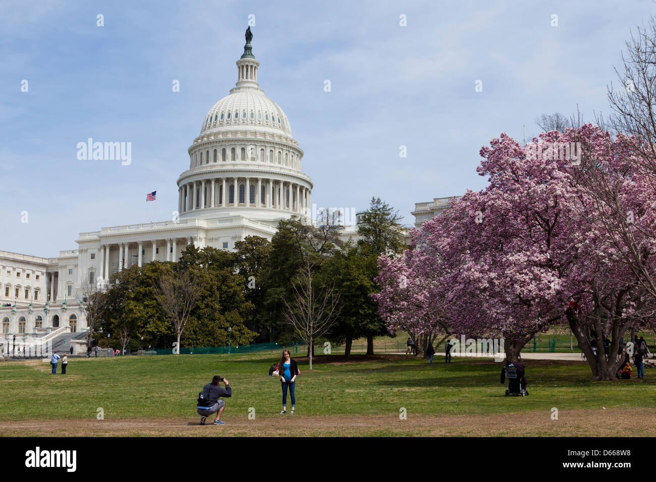 Frühling am US Capitol building Stockfoto