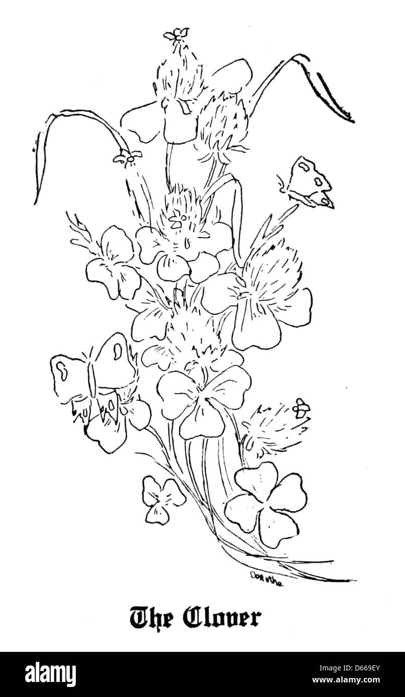 Dieses Bild aus dem Jahr 1917 repräsentiert einen „Toast auf die Frau“, in der Sprache der Blumen, wobei Klee als Symbol für Hoffnung, Glück und Wohlstand für Frauen dargestellt wird. Stockfoto