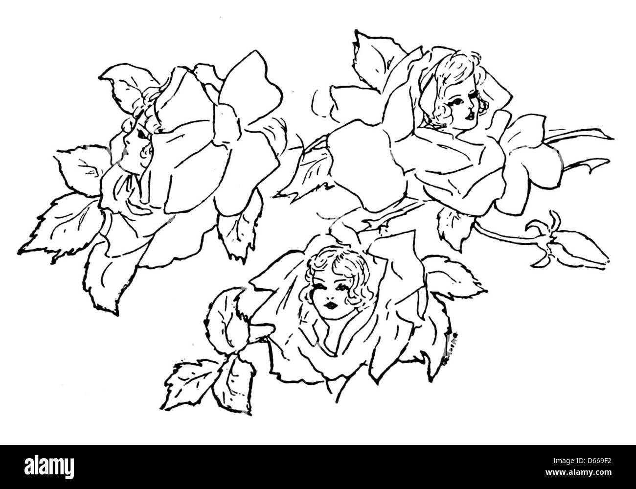 Eine Illustration aus „A Toast to Woman“ (1917), in der Rosen dargestellt werden, die Weiblichkeit und Schönheit in der Sprache der Blumen darstellen, ein symbolisches Geschenk für Frauen. Stockfoto