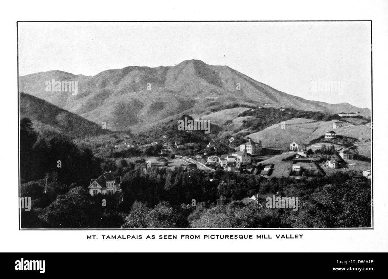 Dieses Bild aus dem Jahr 1907 zeigt den steilen und gewundenen Mt. Tamalpais Railroad, bekannt für ihre scharfen Kurven und malerischen Ausblicke, ist ein einzigartiges Transporterlebnis in Mill Valley, Kalifornien. Stockfoto