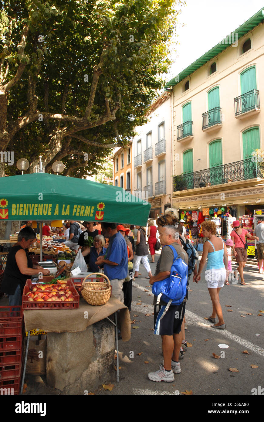 Französischen Markt Collioure Südfrankreich Stockfoto