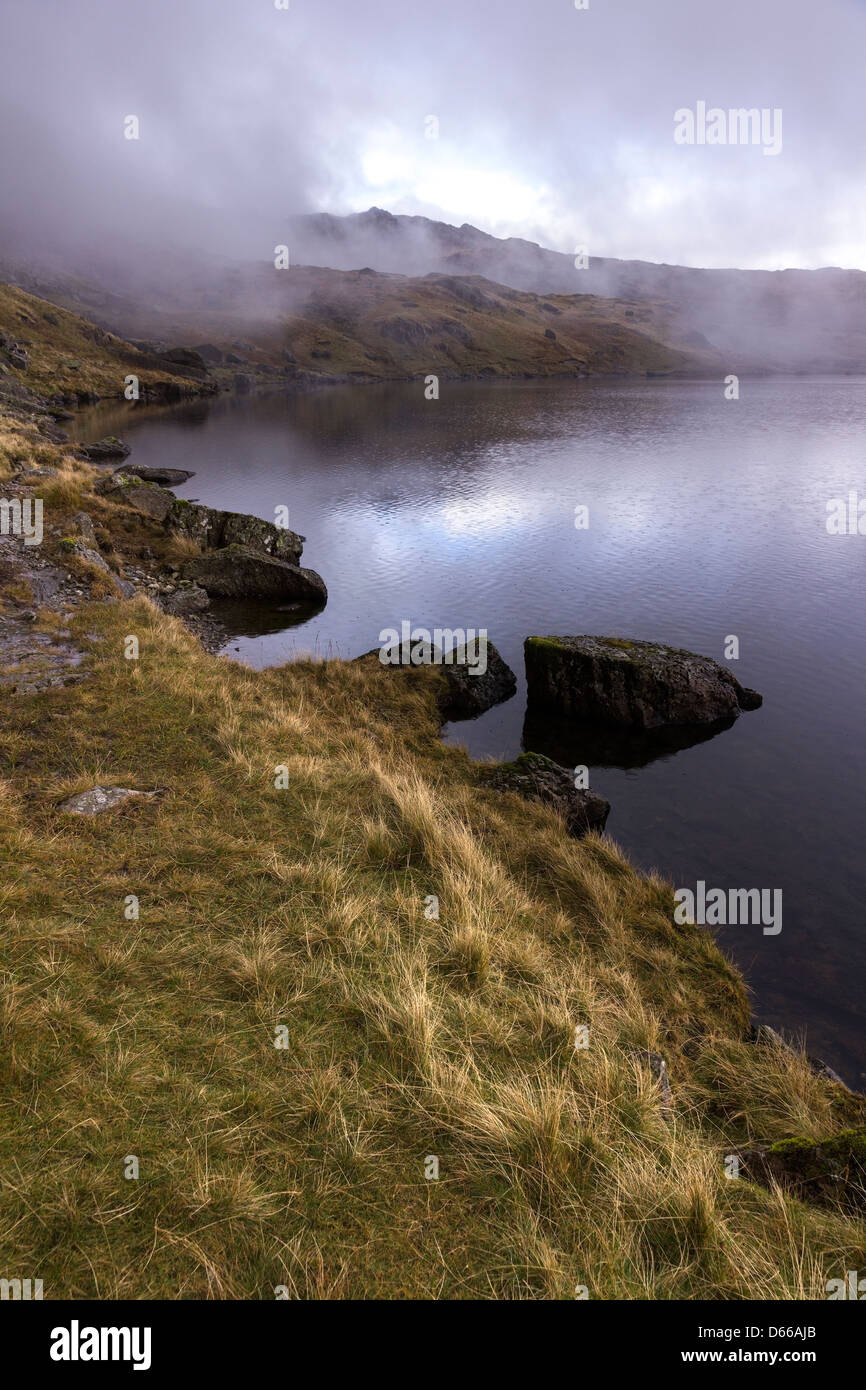 Nebel steigt vorbei scheut Tarn, Great Langdale, Lake District, Cumbria, England, UK Stockfoto