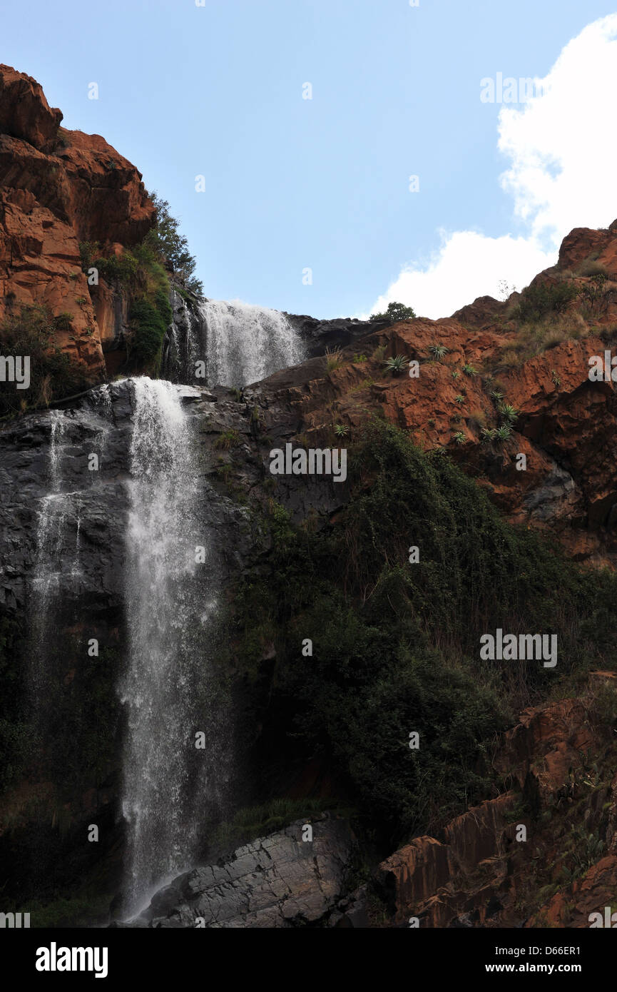 Groß Walter Wasserfall innerhalb von Walter Sisulu Botanical Gardens in Johannesburg gefunden. Stockfoto