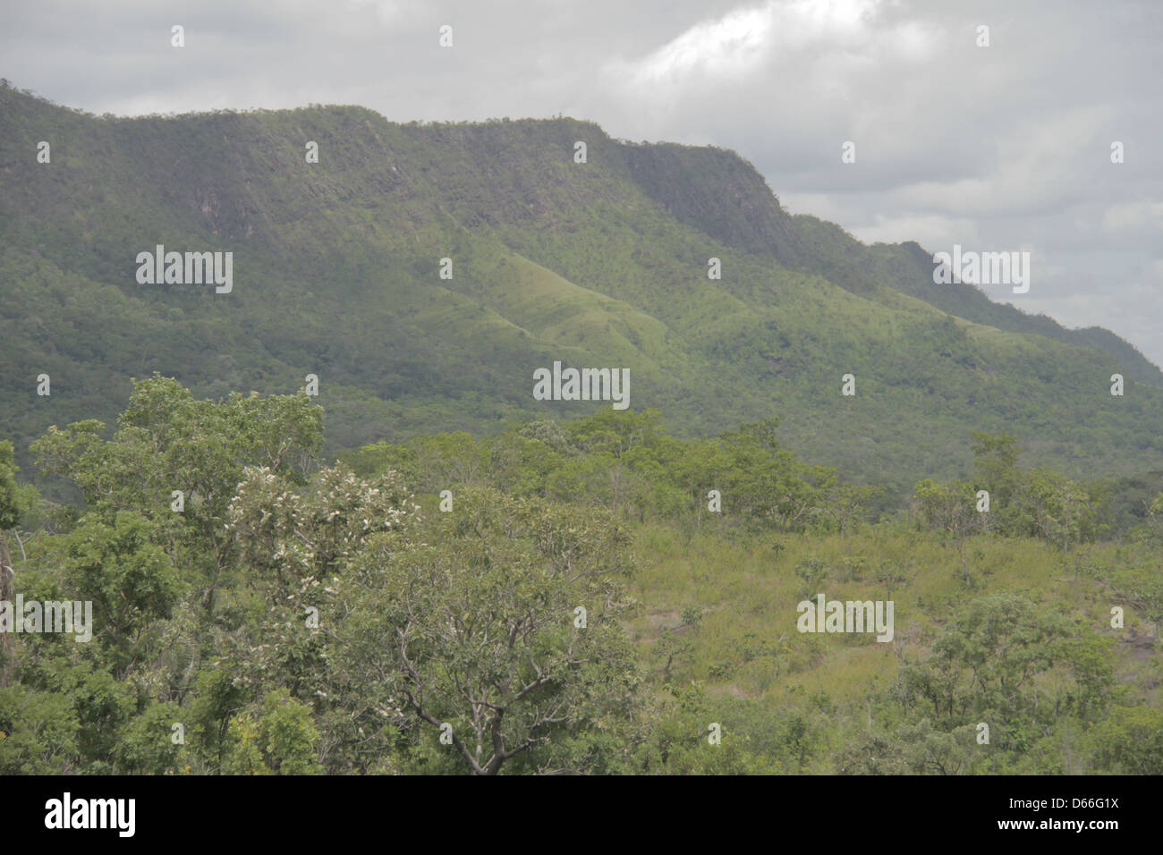 Landen Sie Scape Chapada Dos Veadeiros, Höhenlage Flora, Brasilien Stockfoto