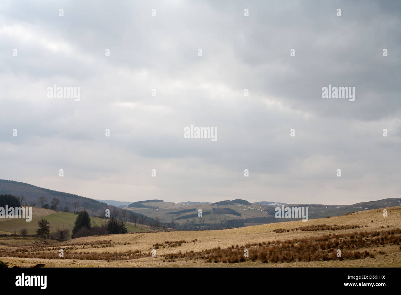 Hügellandschaft der schottischen Landschaft. Stockfoto