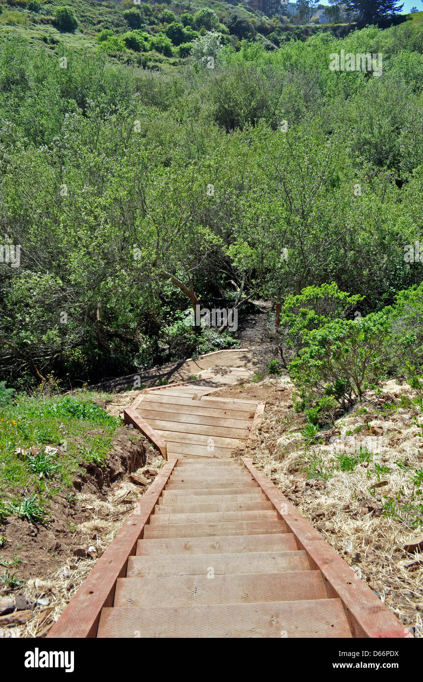 Glen Canyon Park Treppe, San Francisco, Kalifornien, USA Stockfoto