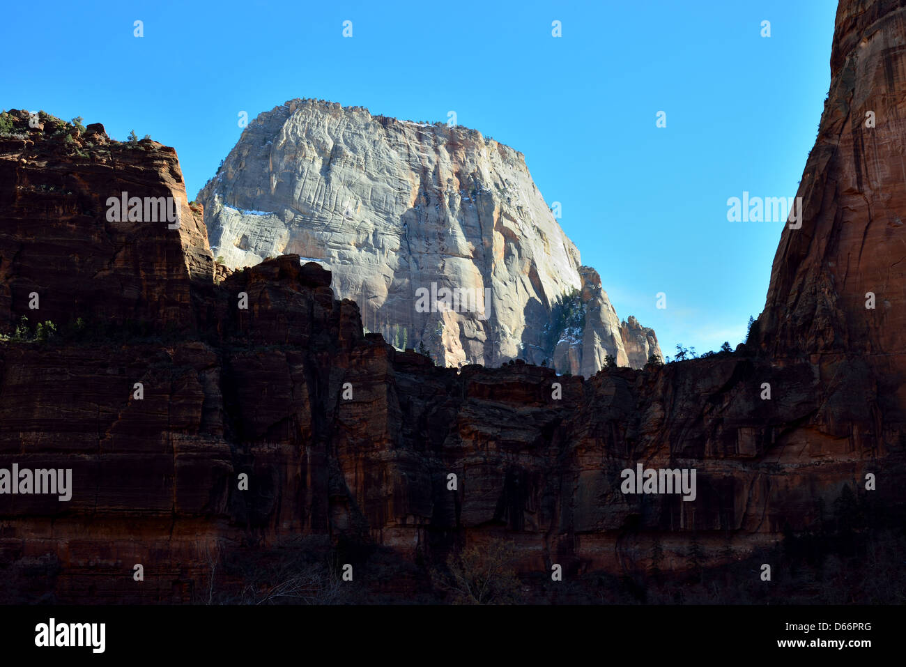Dem weißen Thron. Zion Nationalpark, Utah, USA. Stockfoto