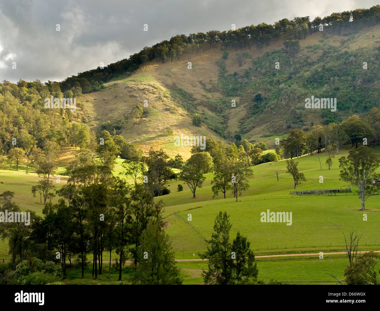 Kindee Tal, Mid North Coast, NSW, Australien Stockfoto