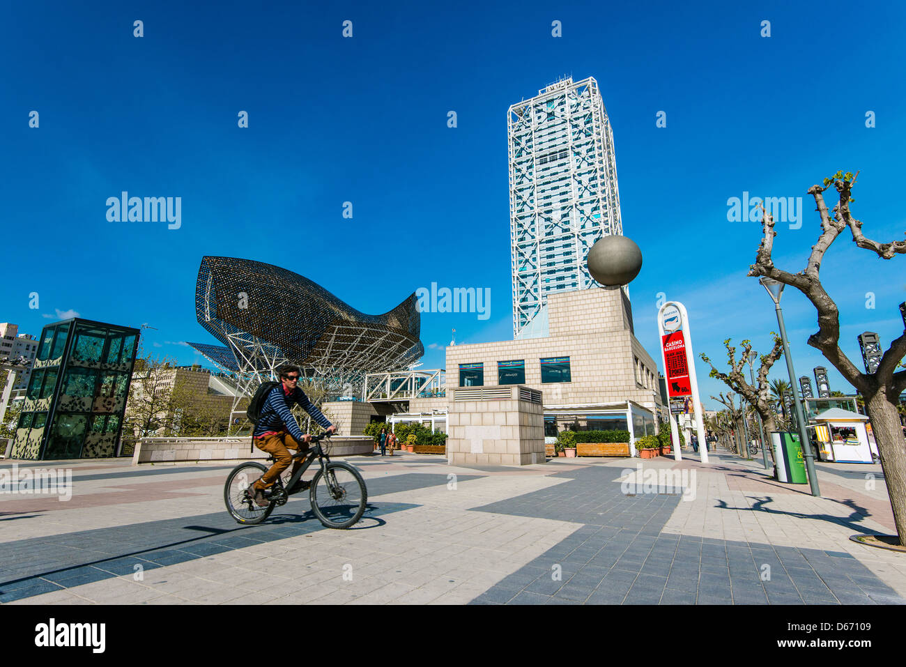 Radfahrer mit seinem Fahrrad in Port Olimpic mit Peix Fisch Skulptur realisiert von Frank Gehry hinter Barcelona, Katalonien, Spanien Stockfoto